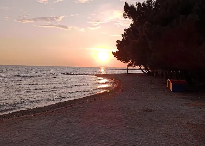 Roris House * Повляна